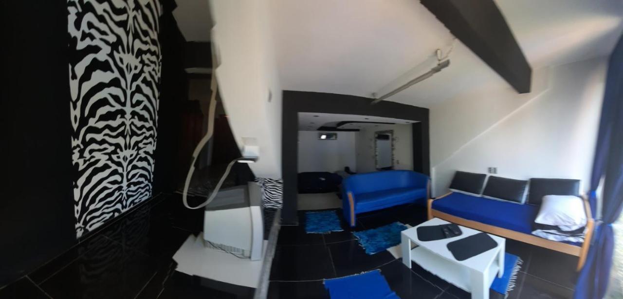 Noa.S Pansion 88 Bed & Breakfast Vrnjacka Banja Luaran gambar